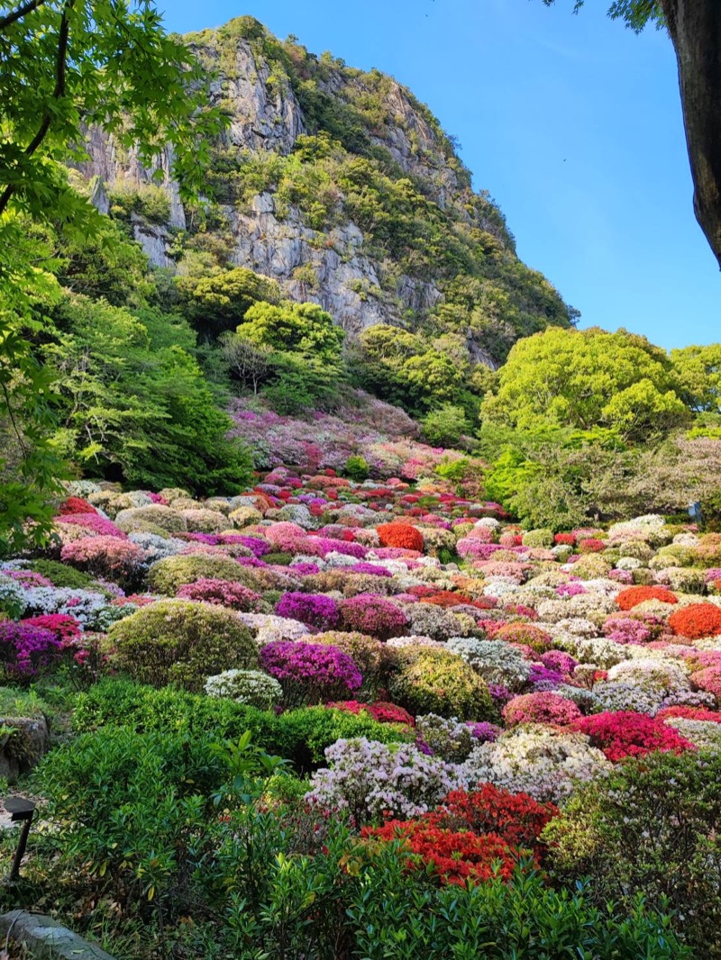 南塚のバイブラーさんの御船山楽園ホテル  らかんの湯のサ活写真