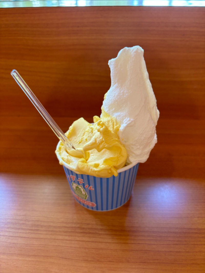 ともみさんの林檎の湯屋 おぶ～のサ活写真