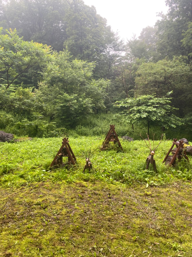 ともみさんのグランドメルキュール八ヶ岳のサ活写真