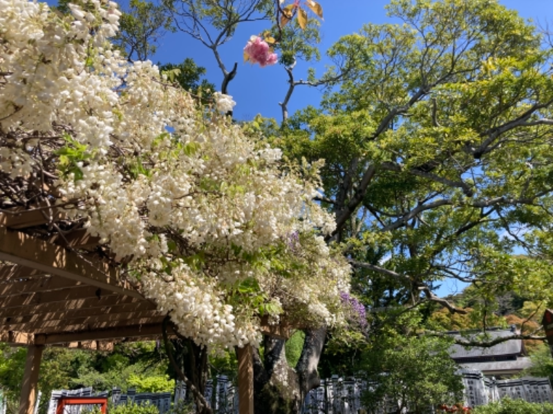 睡蓮さんの3S HOTEL HIRATSUKAのサ活写真