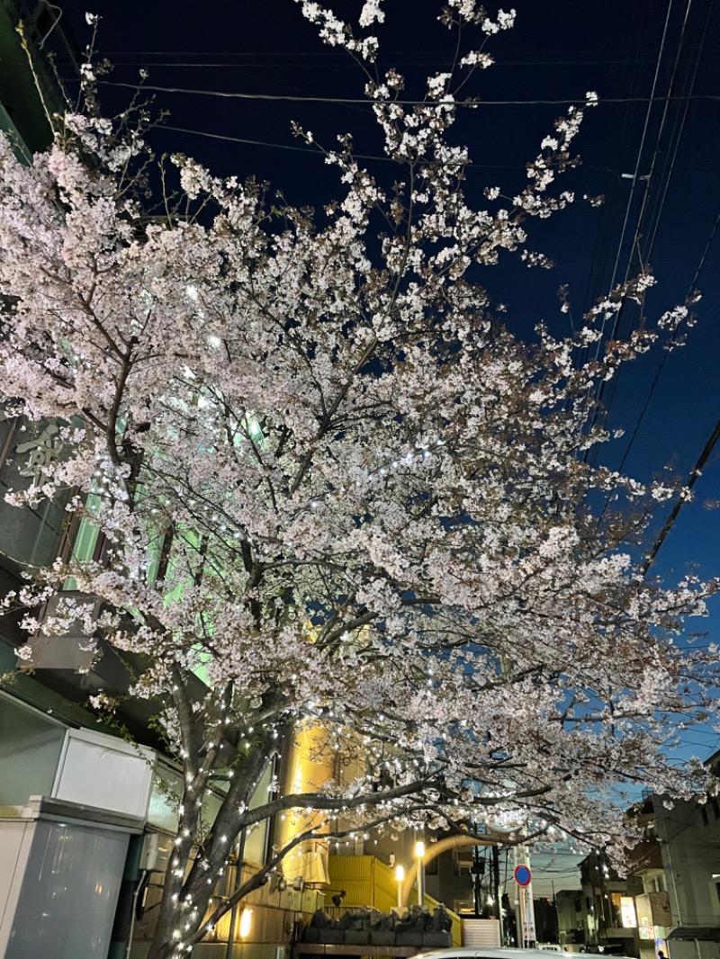 キャンさんの桜館のサ活写真