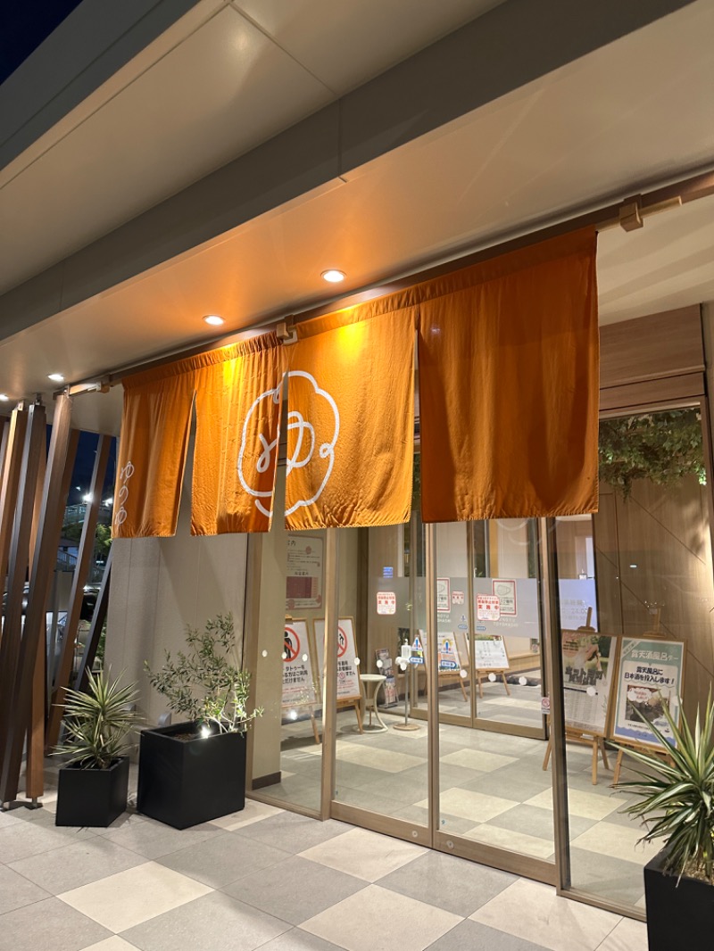 プリンスさんのゆのゆ TOYOHASHIのサ活写真