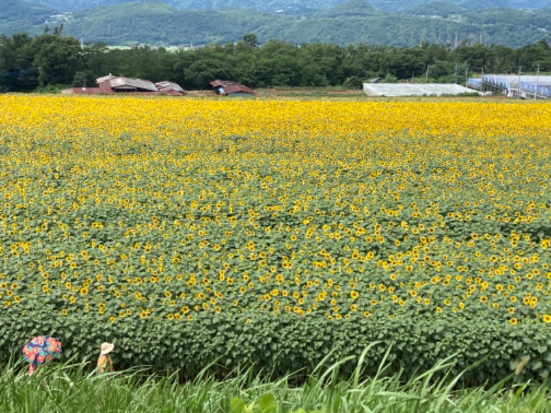 kimoさんのグランドメルキュール八ヶ岳のサ活写真