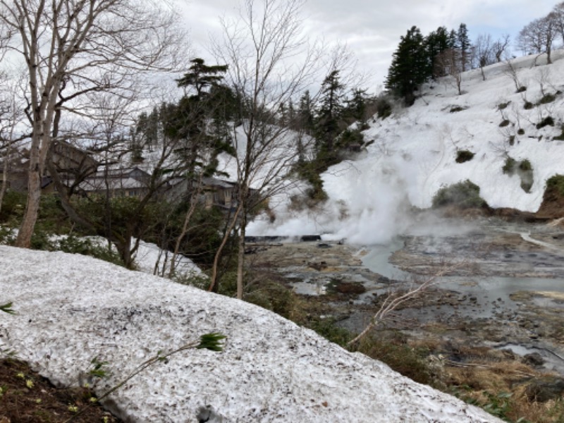 kimoさんの後生掛温泉のサ活写真