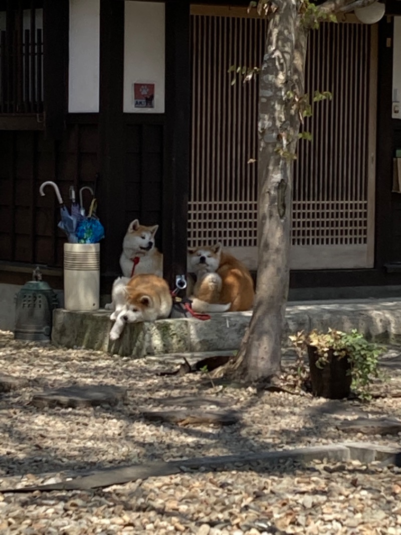 kimoさんのかくのだて温泉のサ活写真