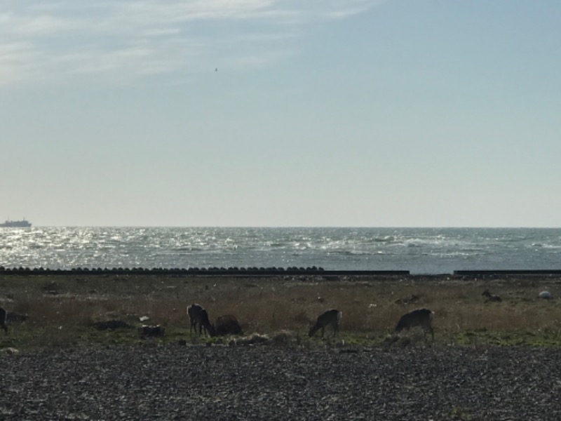 tacchy 魔都サッポロがスキすぎるさんの稚内温泉 童夢のサ活写真