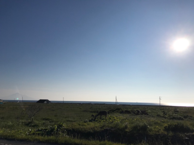 tacchy 魔都サッポロがスキすぎるさんの稚内温泉 童夢のサ活写真