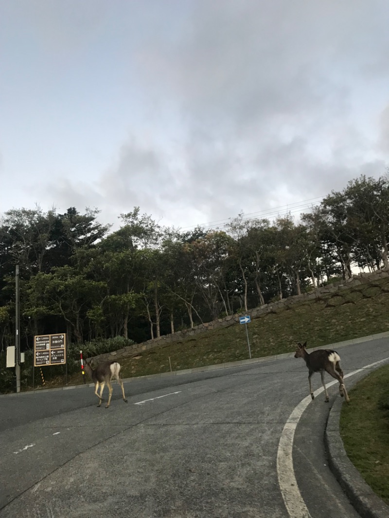 tacchy ブレないウソつかないさんの稚内温泉 童夢のサ活写真