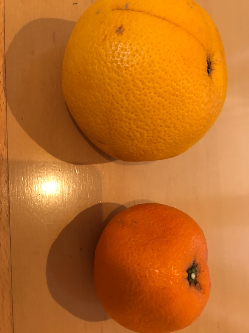 tacchy 魔都サッポロがスキすぎるさんの青の洞窟温泉 ピパの湯 ゆ〜りん館のサ活写真