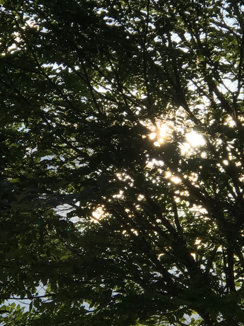 tacchy 魔都サッポロがスキすぎるさんのプレミアホテル-CABIN-旭川 天然温泉かぐらの湯のサ活写真