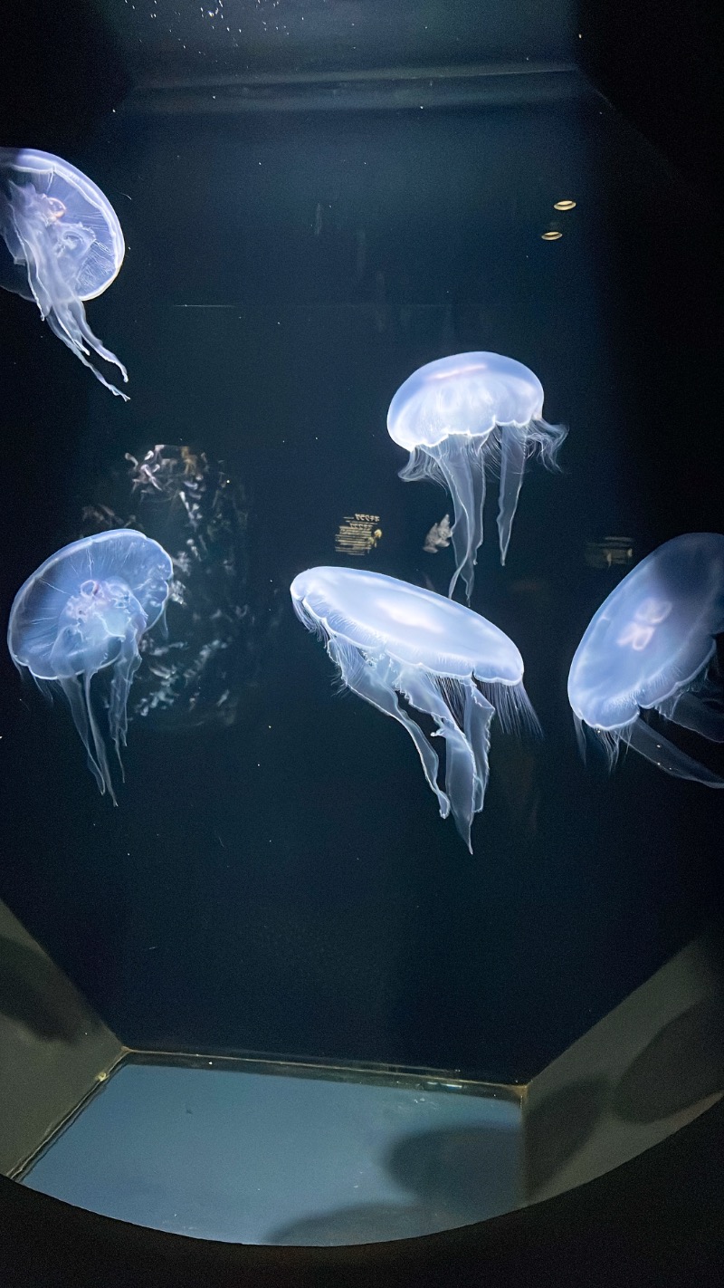 ♪♪ (๑´∀｀๑)るるんさんのSHONAI HOTEL SUIDEN TERRASSE / スイデンテラスのサ活写真