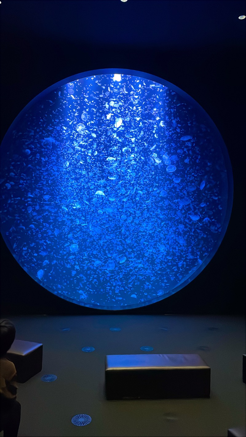 ♪♪ (๑´∀｀๑)るるんさんのSHONAI HOTEL SUIDEN TERRASSE / スイデンテラスのサ活写真