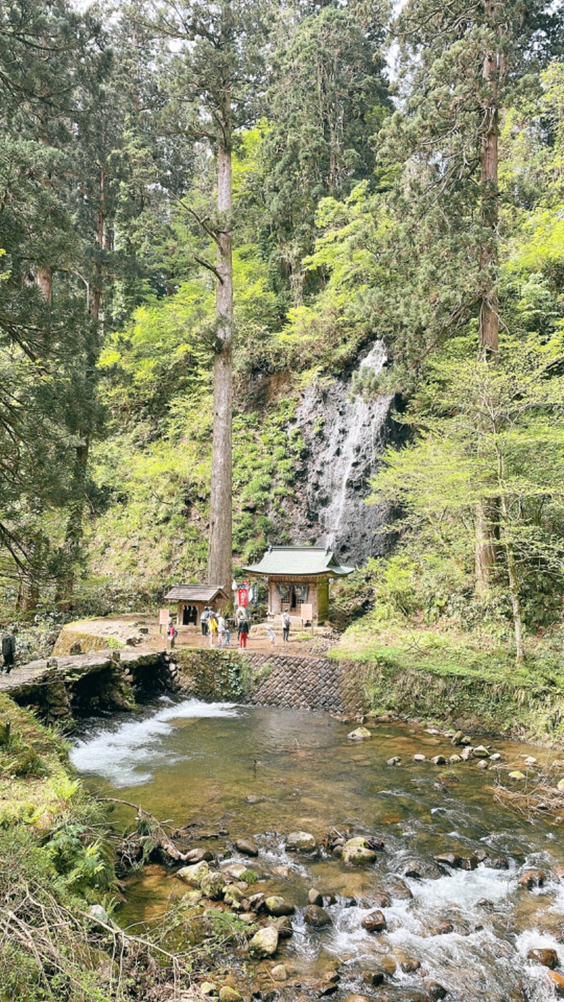 ♪♪ (๑´∀｀๑)るるんさんのやまぶし温泉ゆぽかのサ活写真