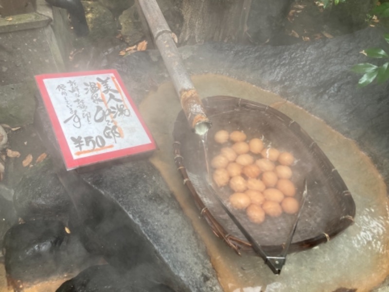 サウナー徳川太郎さんのいこい旅館のサ活写真