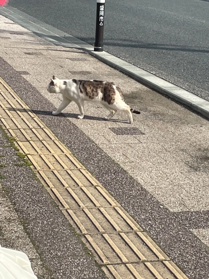 ののぞんさんの盛南温泉 開運の湯のサ活写真