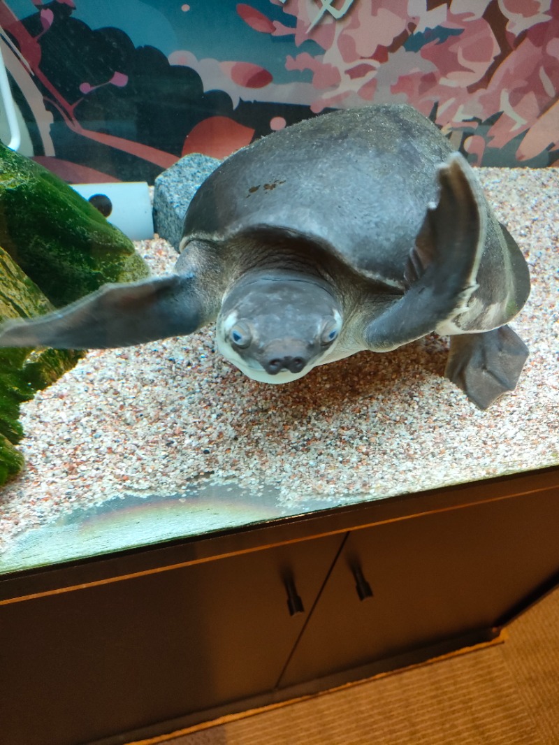 サかえもんさんの松本湯のサ活写真