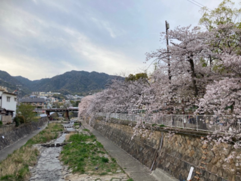 プーマ009さんのふじ温泉のサ活写真