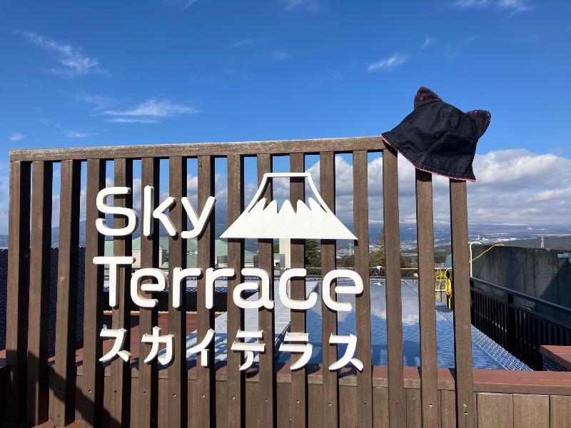 SKL(とらこ🐯)さんのゆうだい温泉のサ活写真