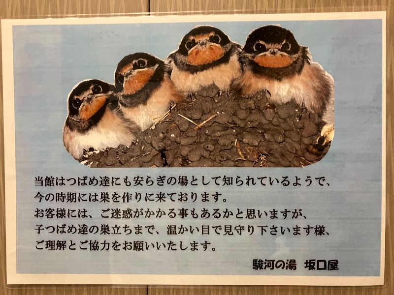 SKLさんの駿河の湯 坂口屋のサ活写真