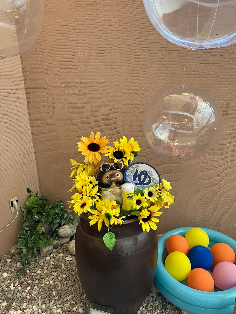 SKLさんの駿河の湯 坂口屋のサ活写真