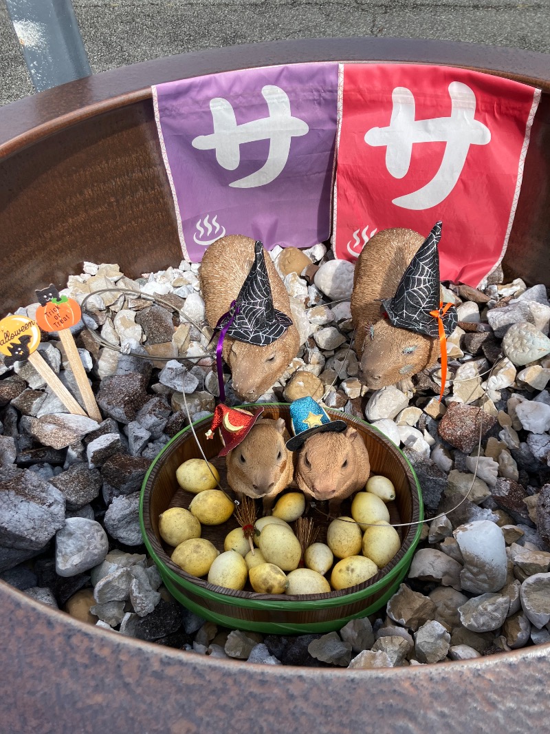 SKL(とらこ🐯)さんの富士山天然水SPA サウナ鷹の湯のサ活写真