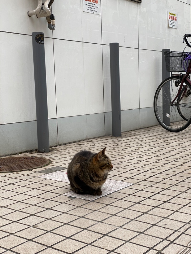 あきてぃ。さんのルビーパレスのサ活写真