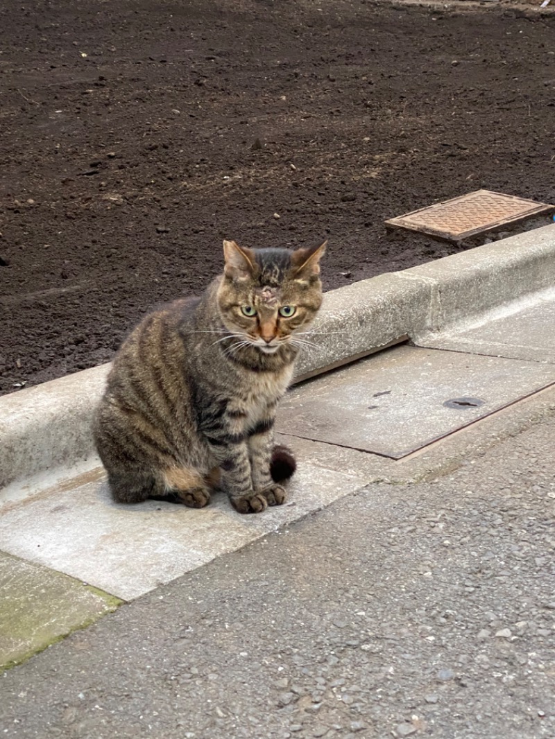 あきてぃ。さんのルビーパレスのサ活写真