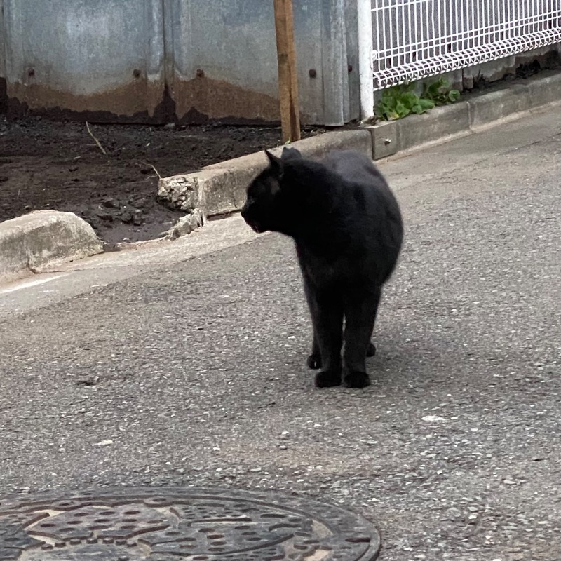 あきてぃ。さんのルビーパレスのサ活写真