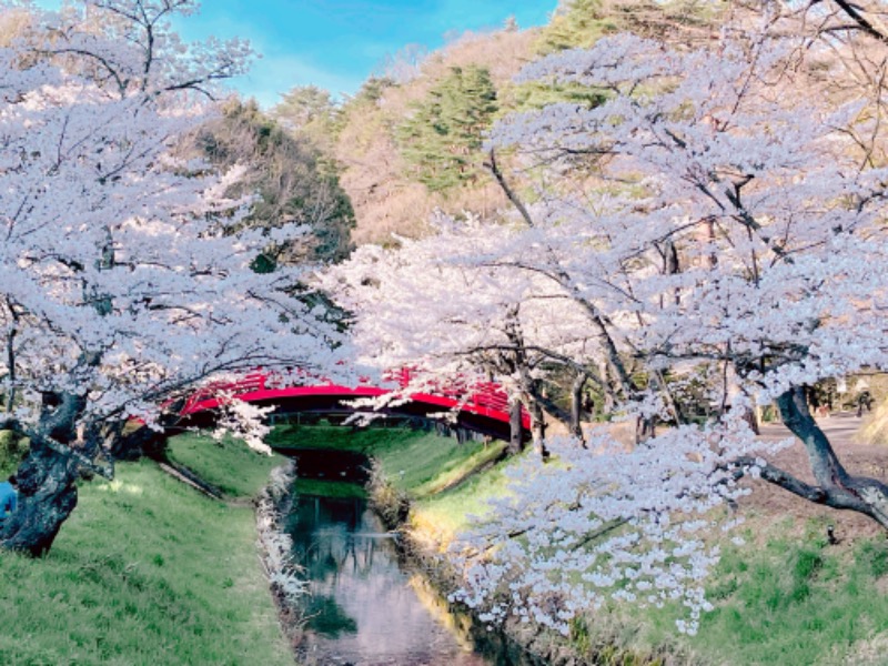 チョキ男✌︎さんのSauna & Spa Green サウナ&スパ グリーン～愛宕山温泉～のサ活写真